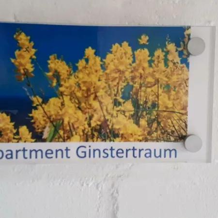 Apartment Ginstertraum *