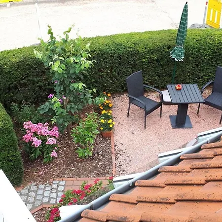 Ginstertraum * Lüneburg