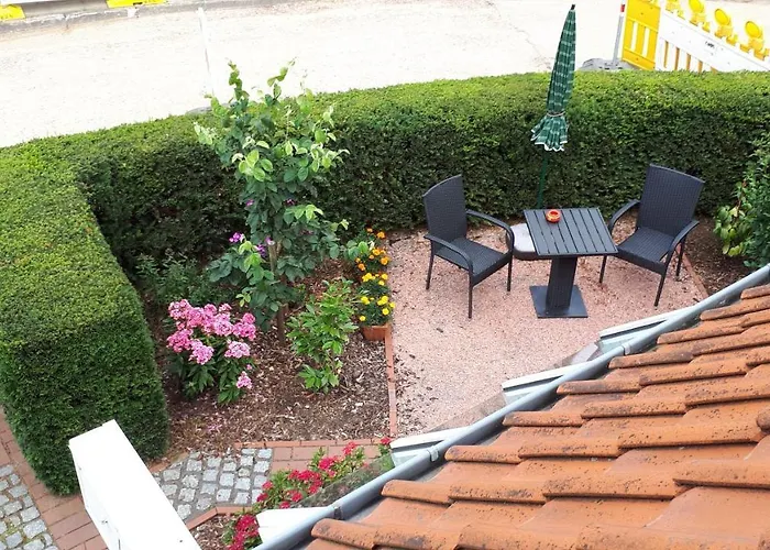 Ginstertraum * Lüneburg